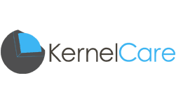 Best Kernel Protection for your server